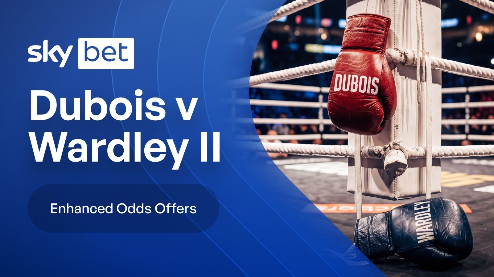 Dubois vs Wardley 2 Sky Bet Offer: Dubois 50/1 or Wardley 70/1